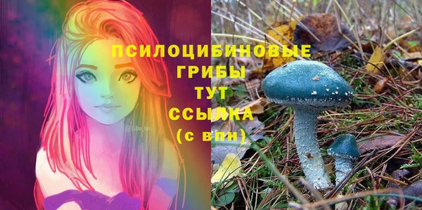 синтетический гашиш Кодинск