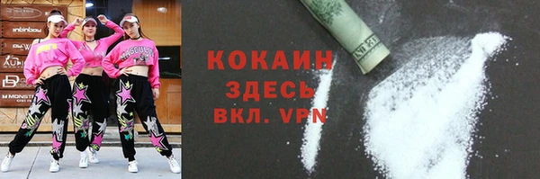 сатива Козельск