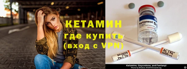 сатива Козельск