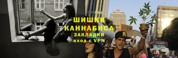 сатива Козельск