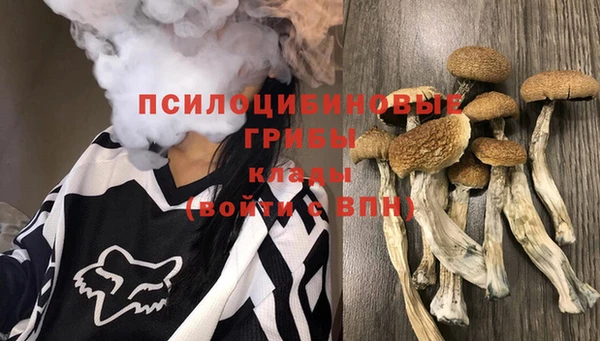 соль курить ск Козловка