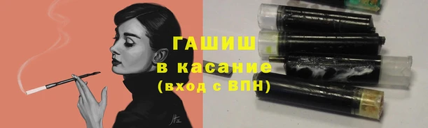 сатива Козельск