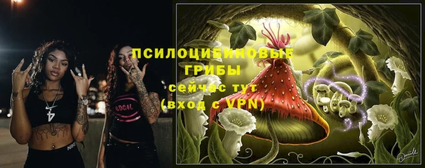 соль курить ск Козловка