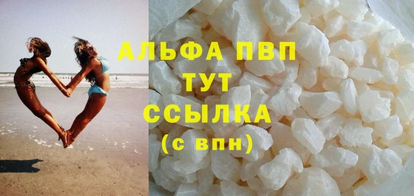 сатива Козельск