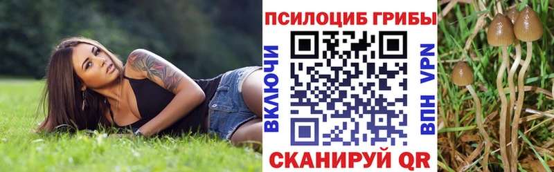 Галлюциногенные грибы MAGIC MUSHROOMS  Купить закладки  Калининск 